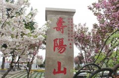 九龍山公墓地處戶縣石井鄉(xiāng)潭峪村1萬(wàn)起