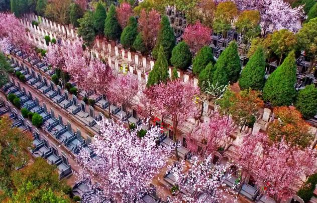 西安市風(fēng)棲山墓地-西安風(fēng)棲山墓地價(jià)格、電話(huà)