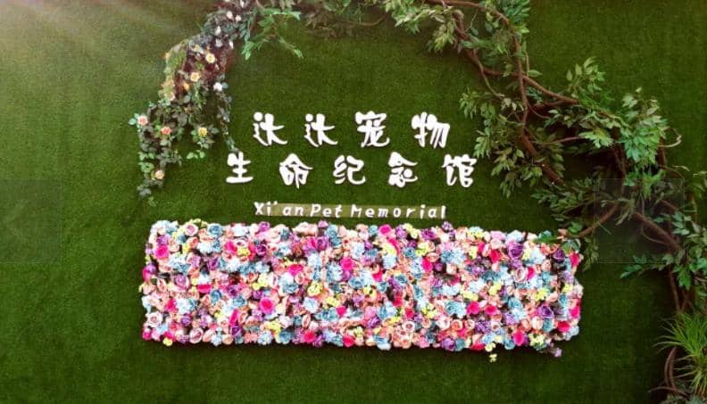 西安寵物墓地價格？西安寵物墓地在哪里？