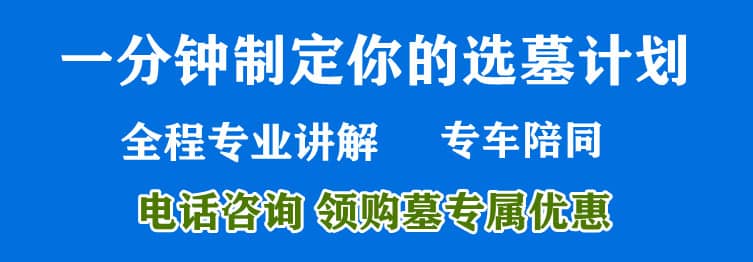 購墓指導(dǎo)、方案策劃