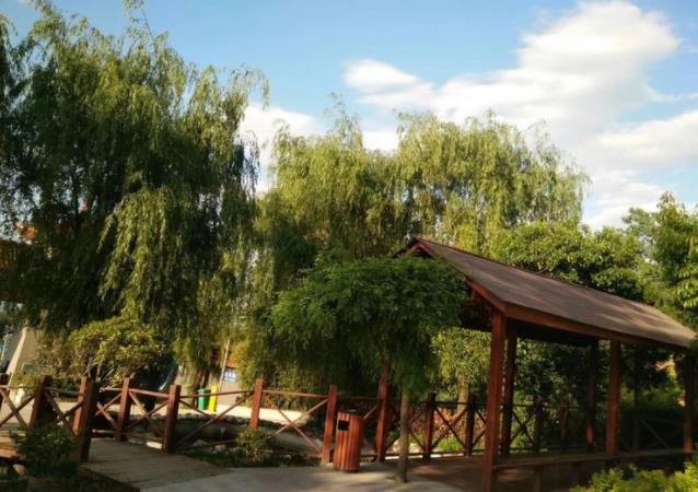 陜西西安九龍山公墓墓園預覽