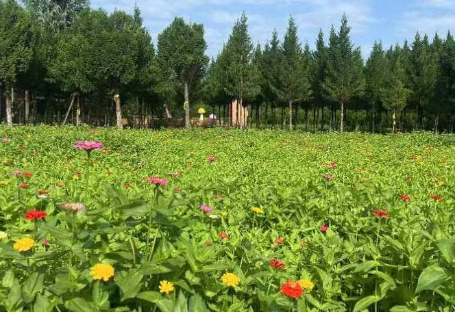 西安市奉正塬公墓福澤一號(hào)墓型介紹