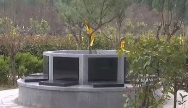 西安奉正塬公墓是否提供全天候的服務(wù)，如何確保在非工作時(shí)間也能得到及時(shí)的幫助？