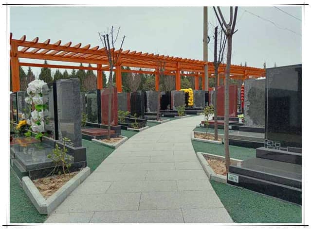 西安閻良漢皇樹葬墓園學生掃墓教育基地