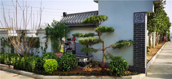 閻良漢皇樹葬墓園的整體建筑風(fēng)格和環(huán)境特點(diǎn)是什么?