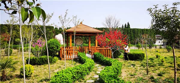 閻良漢皇樹(shù)葬骨灰公墓的原生態(tài)墓穴樹(shù)葬是如何實(shí)現(xiàn)環(huán)保與紀(jì)念相結(jié)合的?