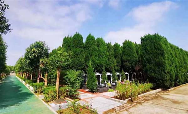 西安閻良漢皇樹葬墓園所處的荊山塬風景區有哪些特色或亮點?
