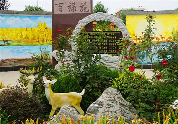 西安漢皇樹葬墓園提供了哪些安葬類型的墓位?