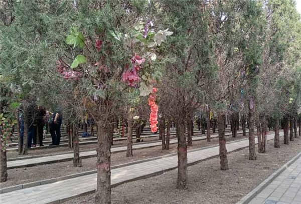 西安漢皇樹葬墓園如何體現(xiàn)對(duì)逝者的尊重和緬懷?