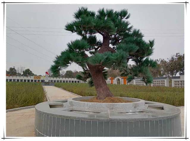 西安漢皇樹(shù)葬墓園的具體位置在哪里,其周邊環(huán)境如何?