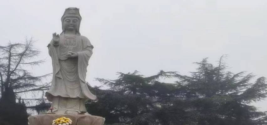 鳳棲山墓園南區：更新聯系方式，暢通服務通道