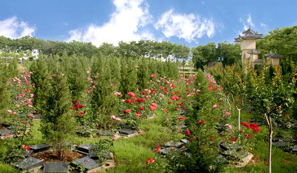 西安鳳棲山墓園的愛心園區域有哪些獨特之處