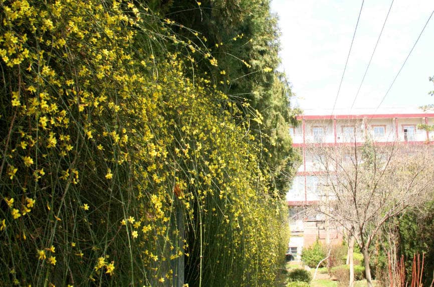 西安鳳棲山北區公墓辦事處