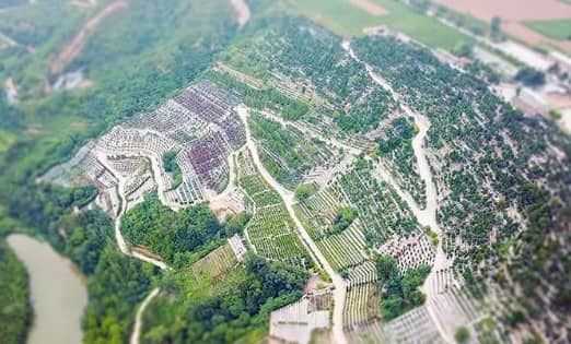 西安壽陽山墓園“取之于民用之于民”的原則體現(xiàn)在哪些方面，這對社會有何積極影響？