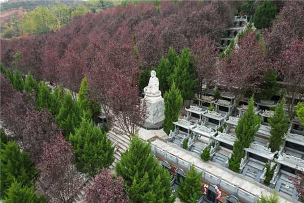 西安壽陽山墓園在文明祭掃方面有哪些要求和倡議?