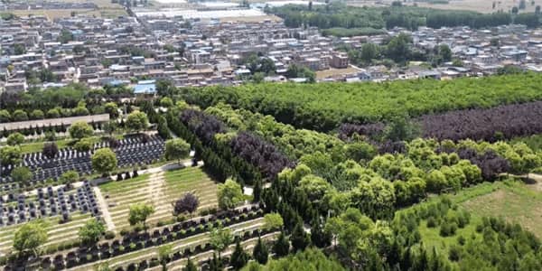 西安壽陽山墓園掃墓:尊重生命,緬懷逝者