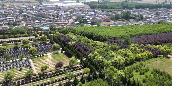 前往西安壽陽山公墓,除了公交車之外還有哪些便捷的交通方式?