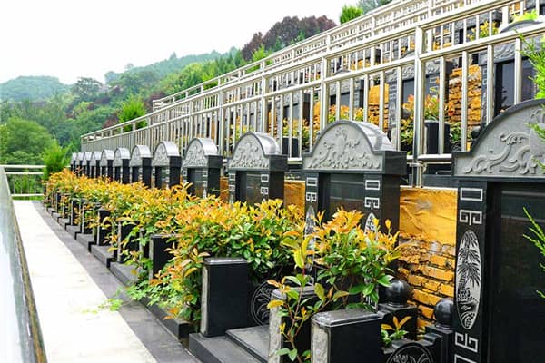 在壽陽山墓園，如果墓穴周圍的綠化出現(xiàn)了病蟲或枯死等問題，應(yīng)該如何處理？