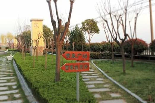 西安壽陽山墓地方向好嗎,善意追思