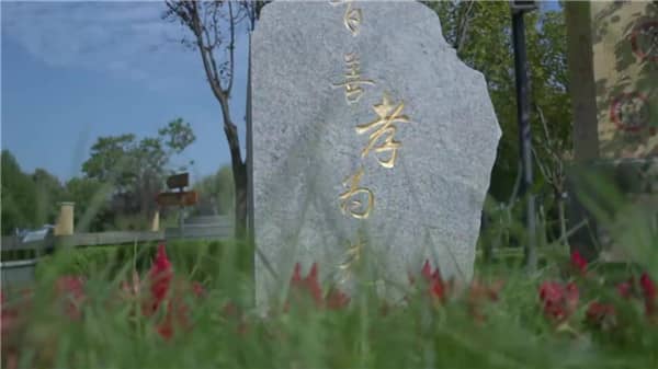 請問西安壽陽山墓園主要提供哪些服務(wù)？