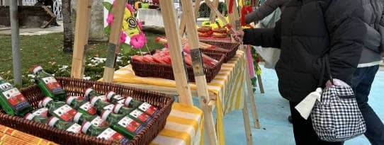 西安壽陽山公墓:深化殯葬改革,推行節地生態葬