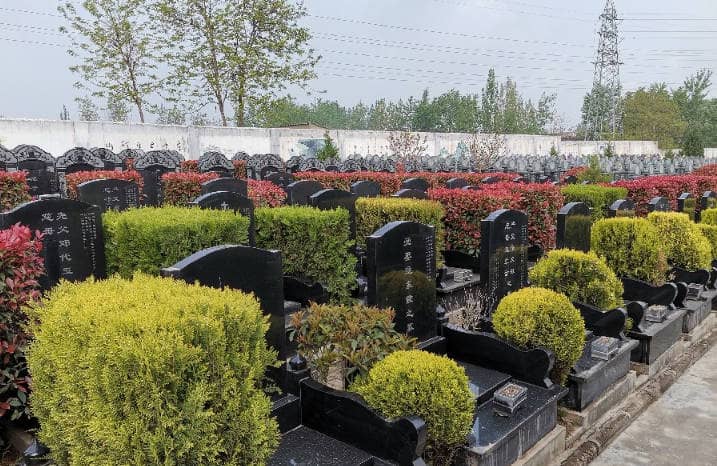 長安區(qū)棗園山生態(tài)人文紀(jì)念園的背景與特色是什么?