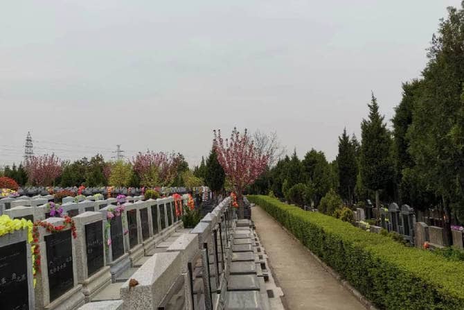 棗園山生態(tài)人文紀念園:綠色緬懷,人文紀念的新選擇