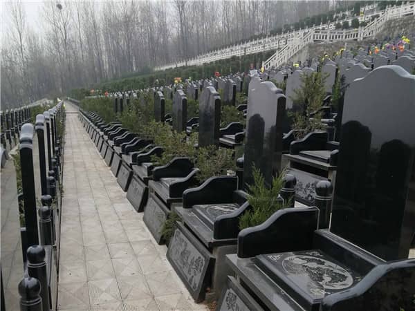 西安九龍山公墓的地址,任意選擇