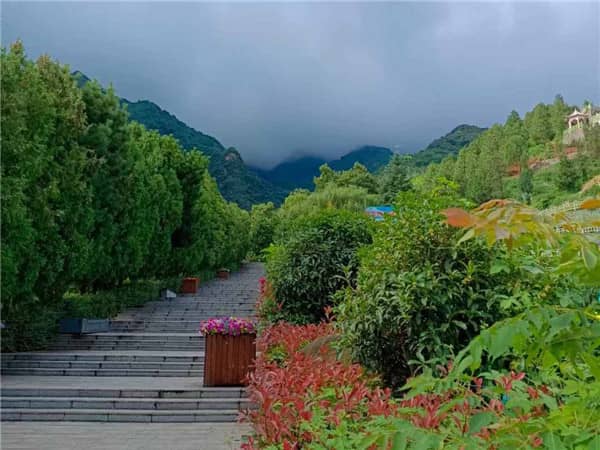 陜西省西安市九龍山墓園，陜西省西安市九龍山墓園的詳細介紹