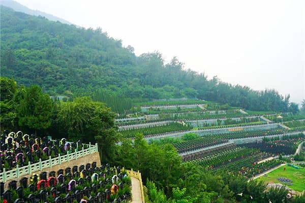 西安市戶縣九龍山墓園預約，安心便捷