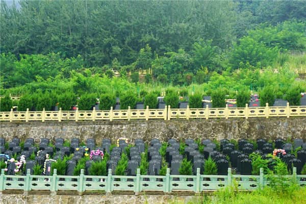 如何便捷到達(dá)九龍山公墓?
