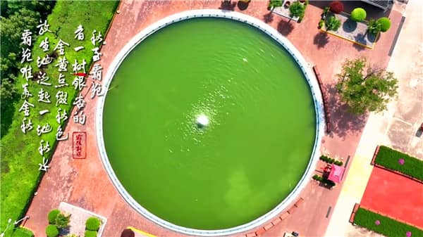 西安市霸陵墓園價位構(gòu)成揭秘:專業(yè)咨詢,透明報價