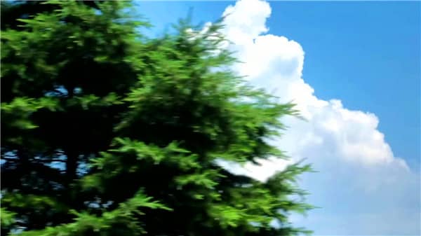 西安霸陵墓園在哪個區縣