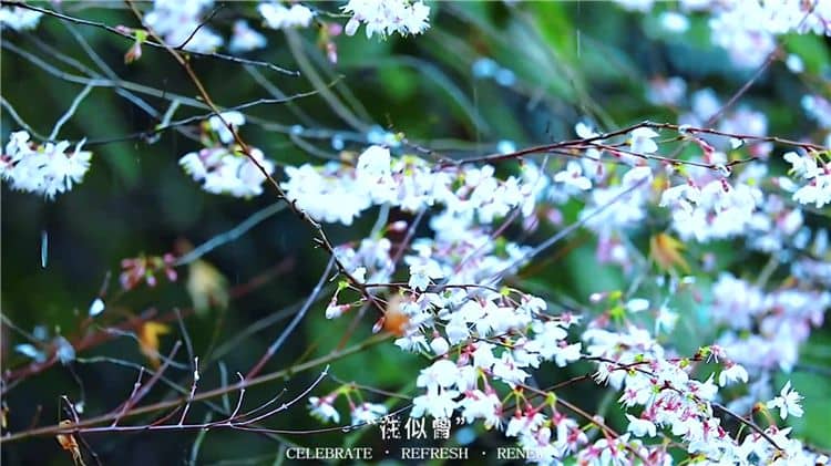 霸陵墓園新區有哪些特色？