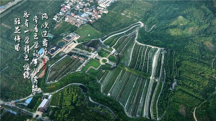 西安霸陵墓園咨詢電話,獲取西安霸陵墓園最新信息的官方渠道