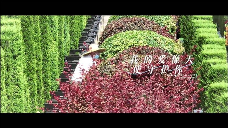 西安霸陵墓園新區(qū)，西安霸陵墓園新區(qū)的介紹與特色