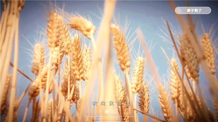 西安霸陵墓園有哪些顯著的特點(diǎn)?