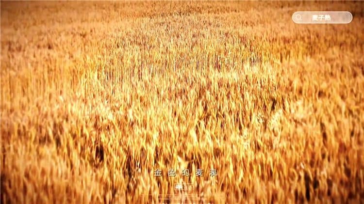 選擇西安霸陵陵園的樹(shù)葬服務(wù)有哪些好處？