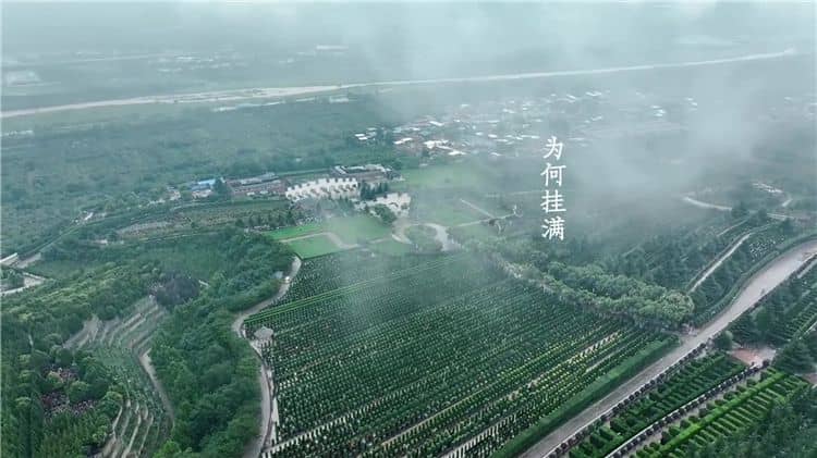 西安霸陵墓園新區,你不能錯過的新資訊!