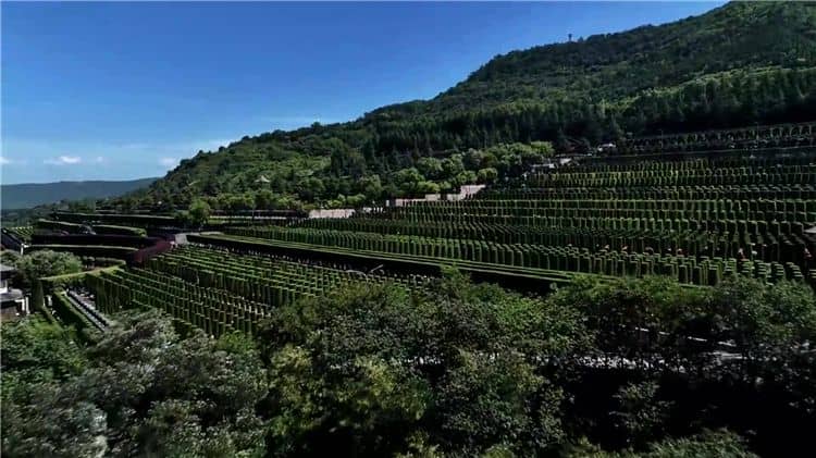 請問西安霸陵墓園新區(qū)有哪些配套設施？