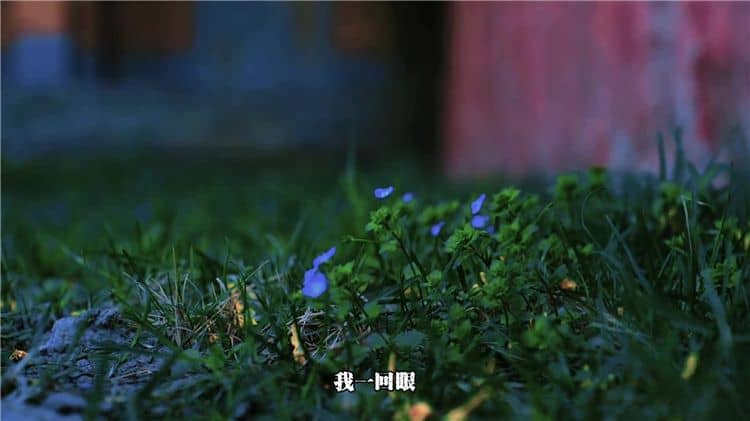 西安霸陵公墓新區:承載生命尊嚴與哀思的新篇章