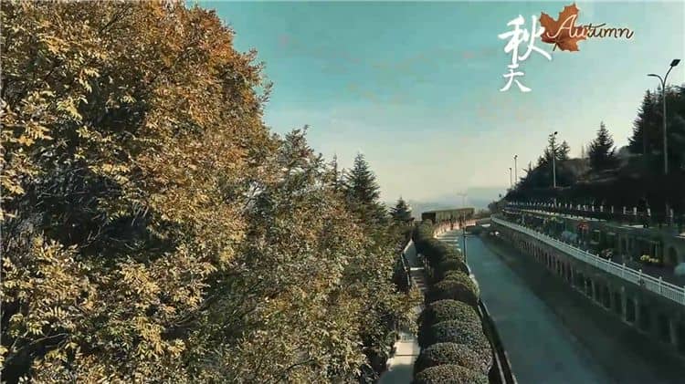西安霸陵墓園新區(qū)具體位于哪個區(qū)域和街道,其周邊有哪些主要的交通路線?