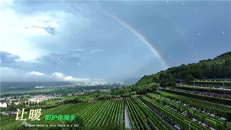 西安霸陵墓園新區(qū)的文化氛圍有何特點？