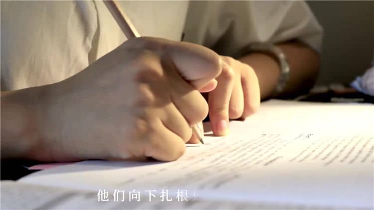 西安霸陵墓園新區的具體地址在哪里,其風水特點有哪些?