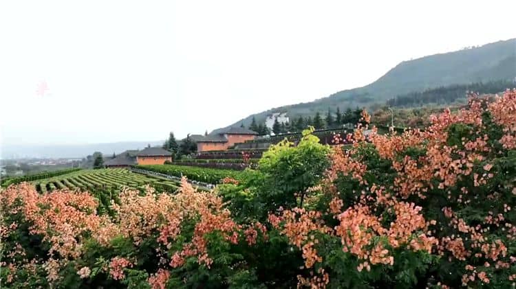 西安霸陵墓園新區在社會公益性方面有哪些貢獻？