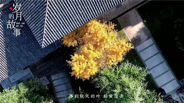 西安霸陵墓園的環(huán)境與服務(wù)?
