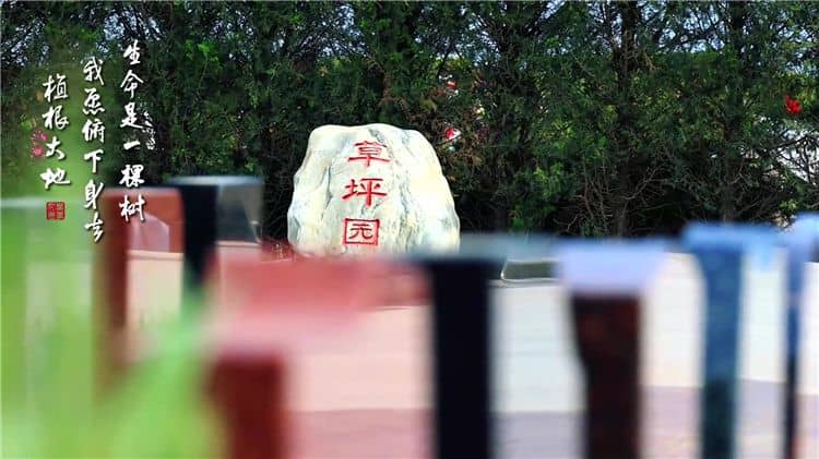 自駕前往西安霸陵墓園新區(qū)有哪些路線可以選擇?