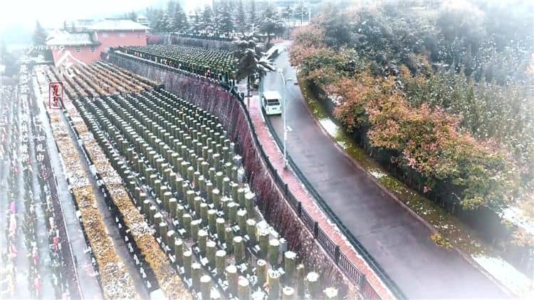 西安霸陵公墓提供哪些交通服務來方便家屬和訪客？