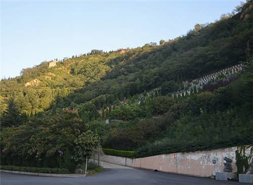 西安高橋墓園能燒紙不,選擇舒心寬敞的墓地