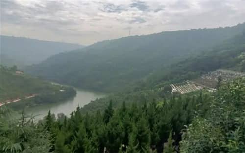 為什么高橋墓園的位置不多了但仍然有人想買？